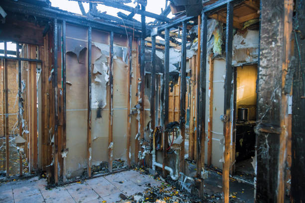 Professional Soot Cleanup technician working in Sheridan, IN